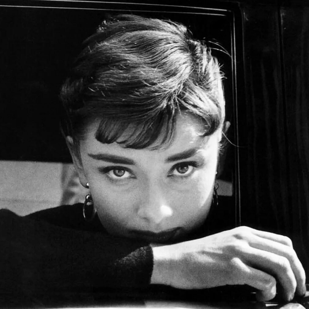 cinesthetic. tweet media