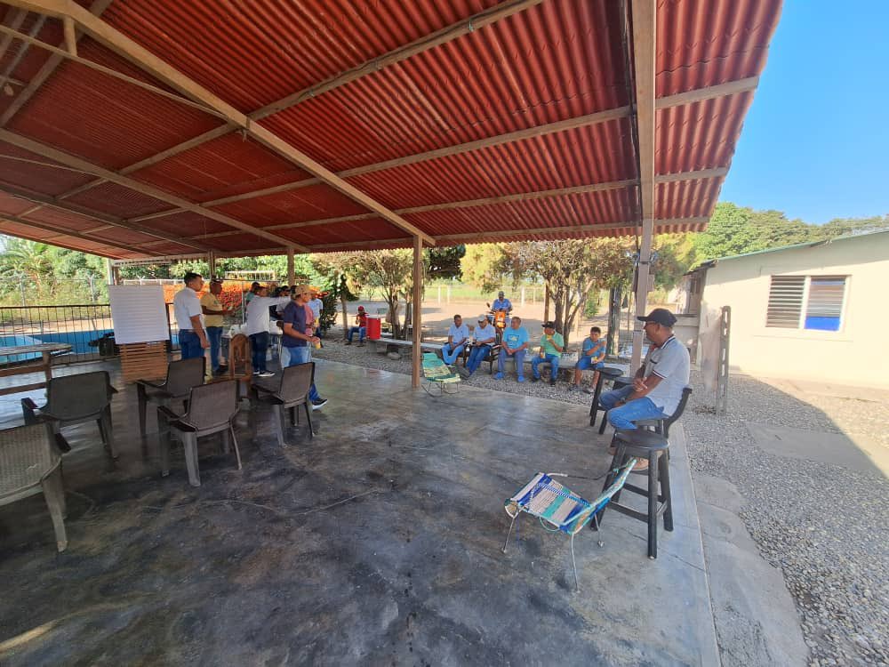 Asoportuguesa🌱 tweet media