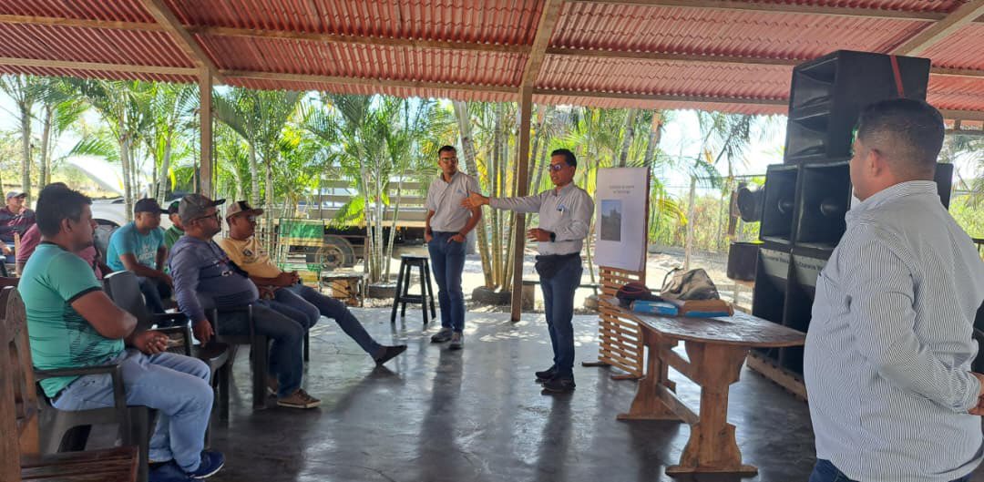 Asoportuguesa🌱 tweet media