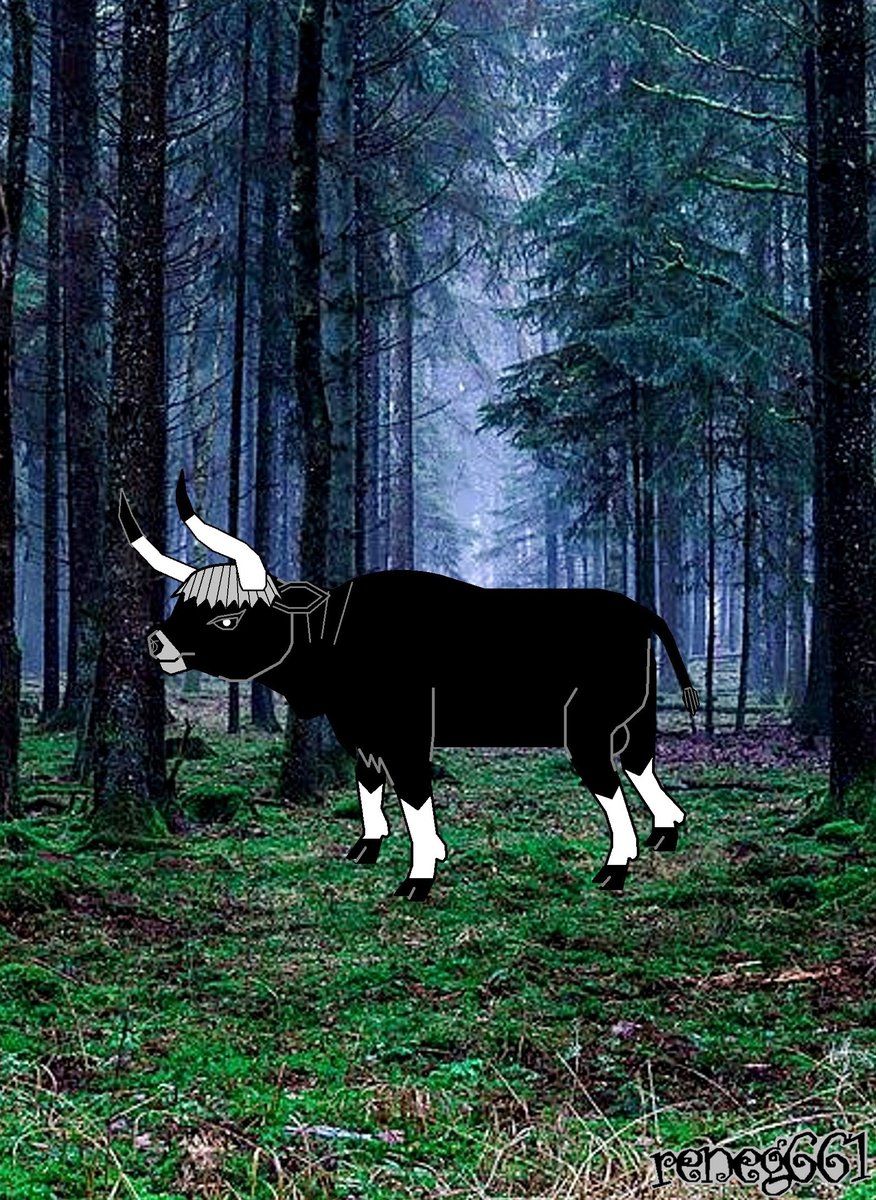 reneg661's tweet photo. Aurochs https://t.co/isHxtsyJQC
