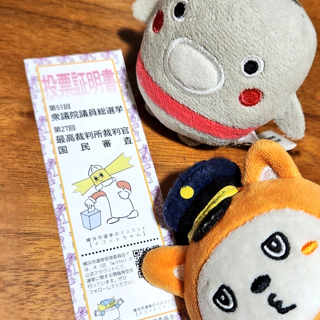 雪舞う中❄朝イチで投票行ってきた