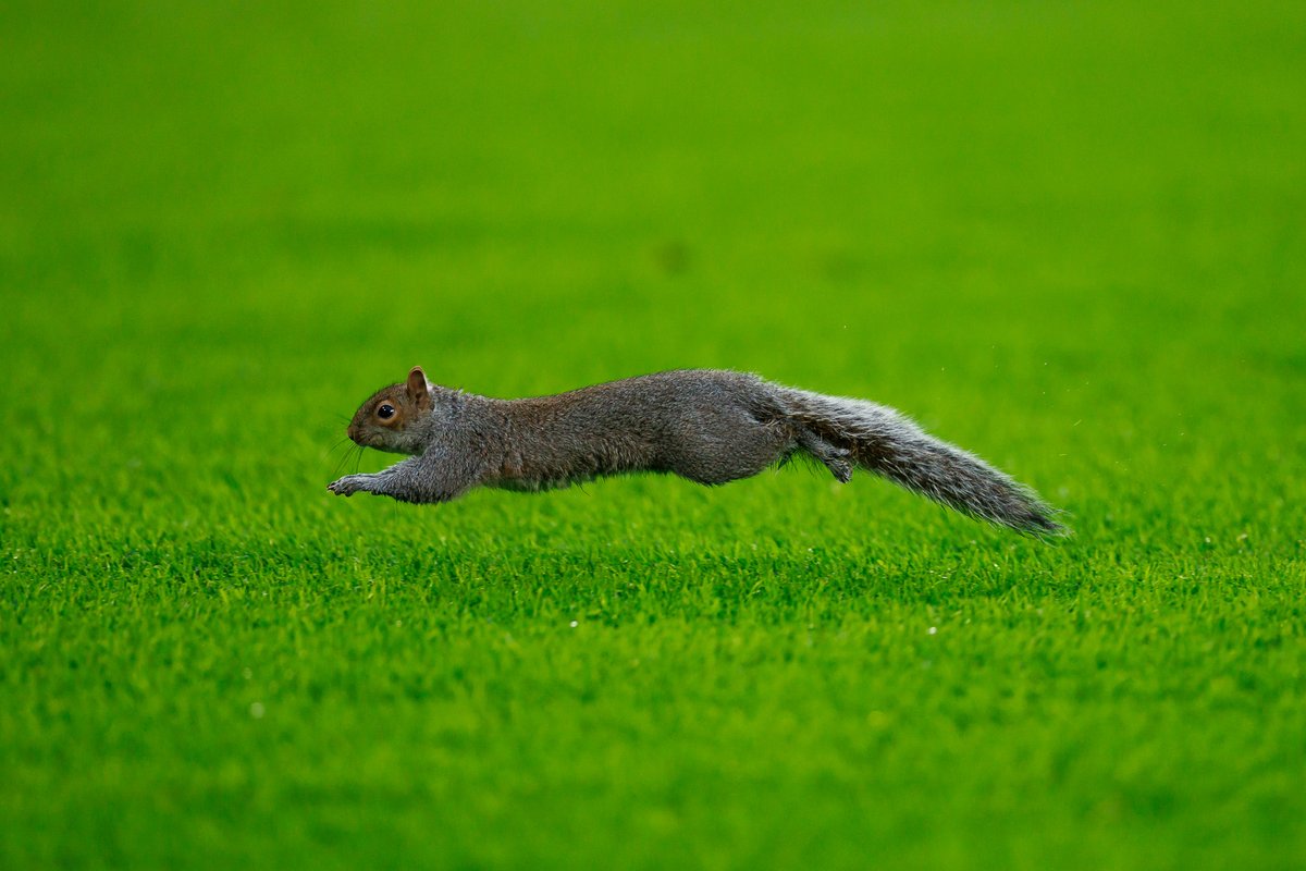Bristol City FC tweet media