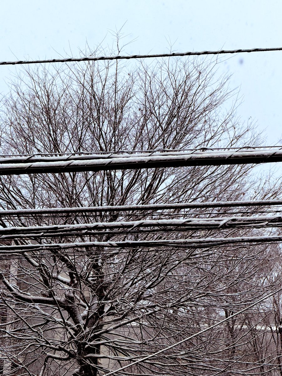 フジムラ tweet media