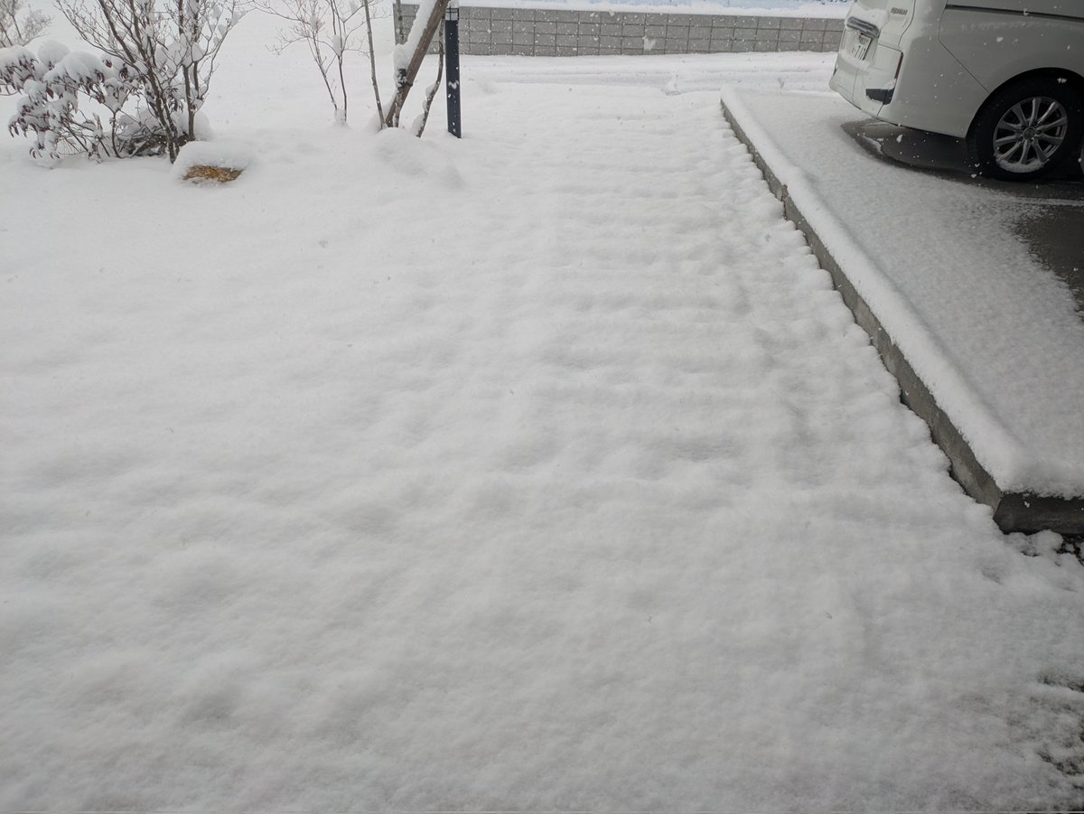 雪積もった