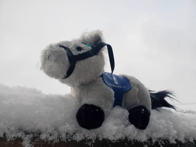 雪が積もったねぇ 積もりたてのふっわふわな雪の手触り…童心になるというか、心地がよい指がつめたいしぬ 空も晴れてきたし、もうそろそろ止みそうな気配 止むなら止むで名残惜しい