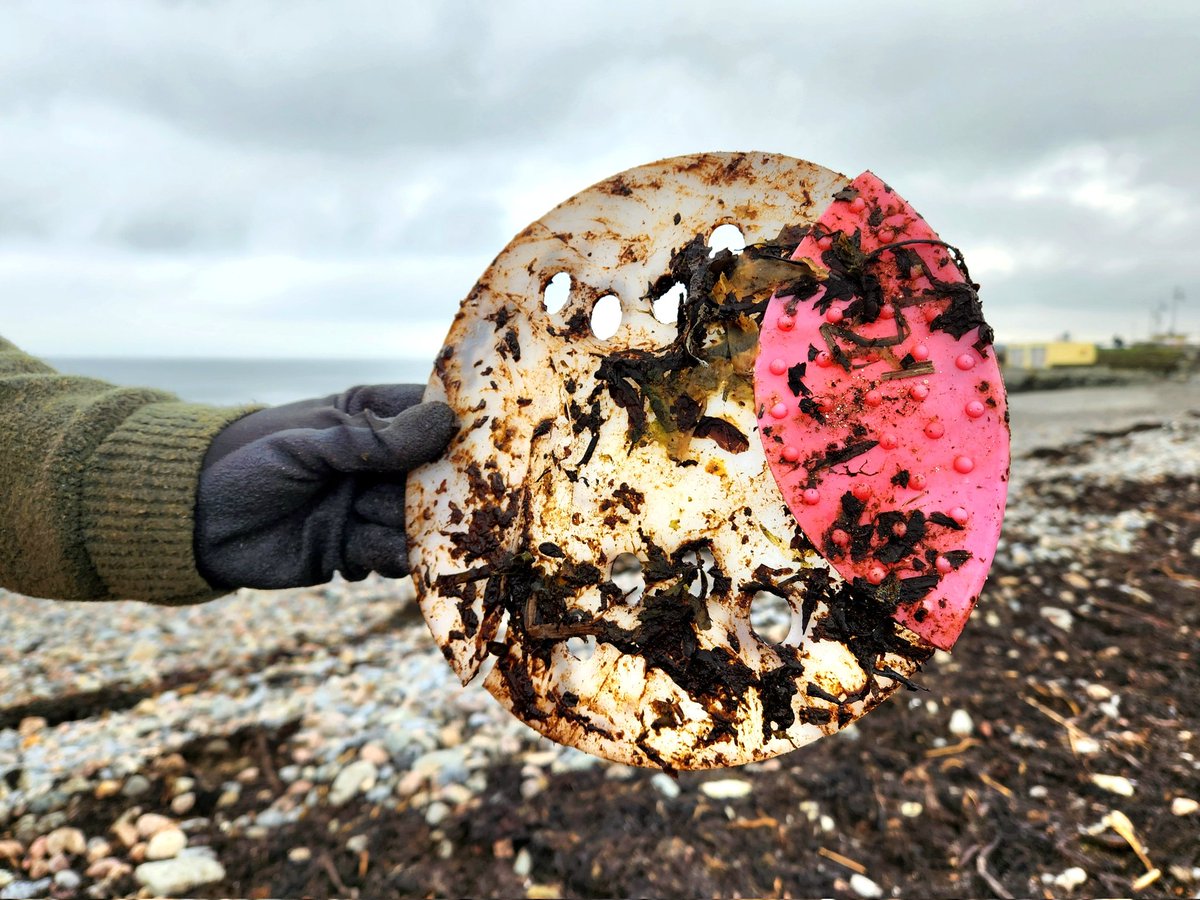 Sandlarks tweet media