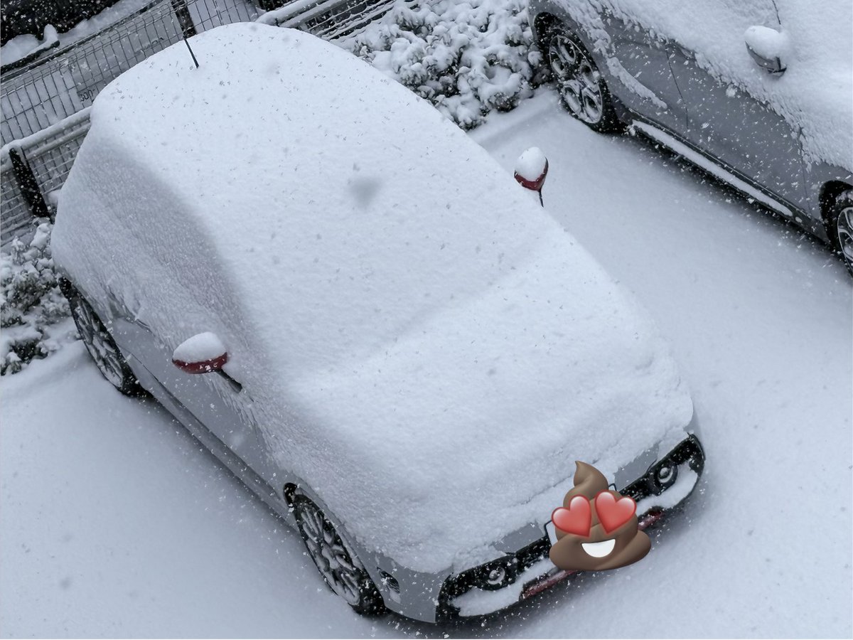 こまぴ tweet media