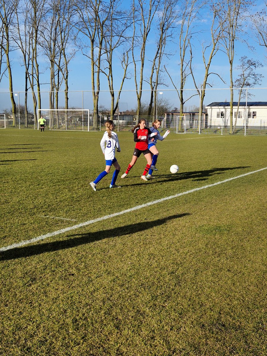 Maurice Hogendoorn tweet media