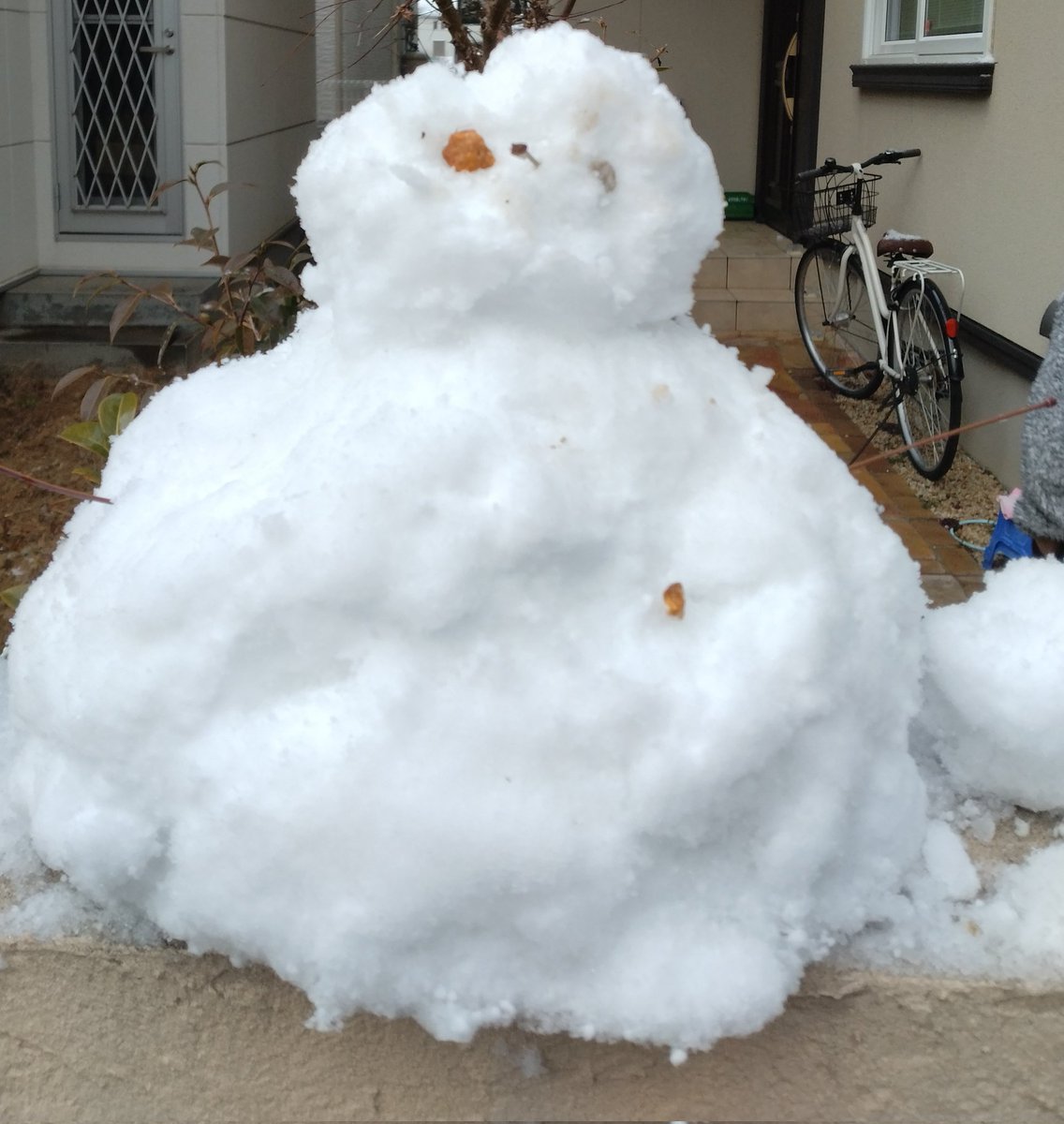 EXV らいみー tweet media