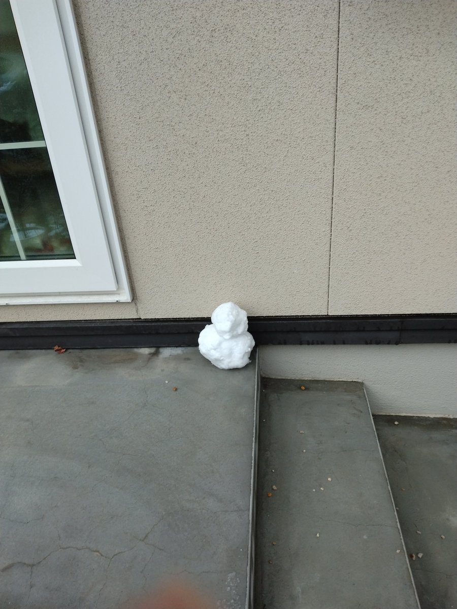 EXV らいみー tweet media