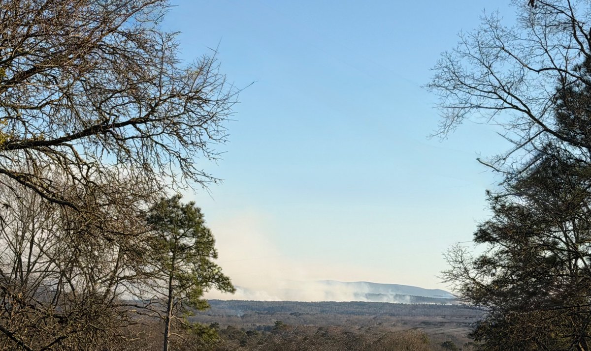 DanielnEAlabama's tweet photo. Appears to be a decent woods fire between Oxford and Munford AL currently. Checked the AL Forest maps and appears to not be a prescribed burn best I could find. ??? #alwx @ChiefBPartridge @spann @simpsonWVTM13  @Dave_Nussbaum https://t.co/jyu1nxte7T