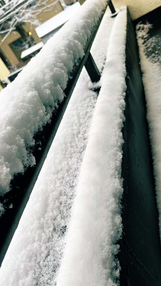 akira takano @ Yellow Studs tweet media