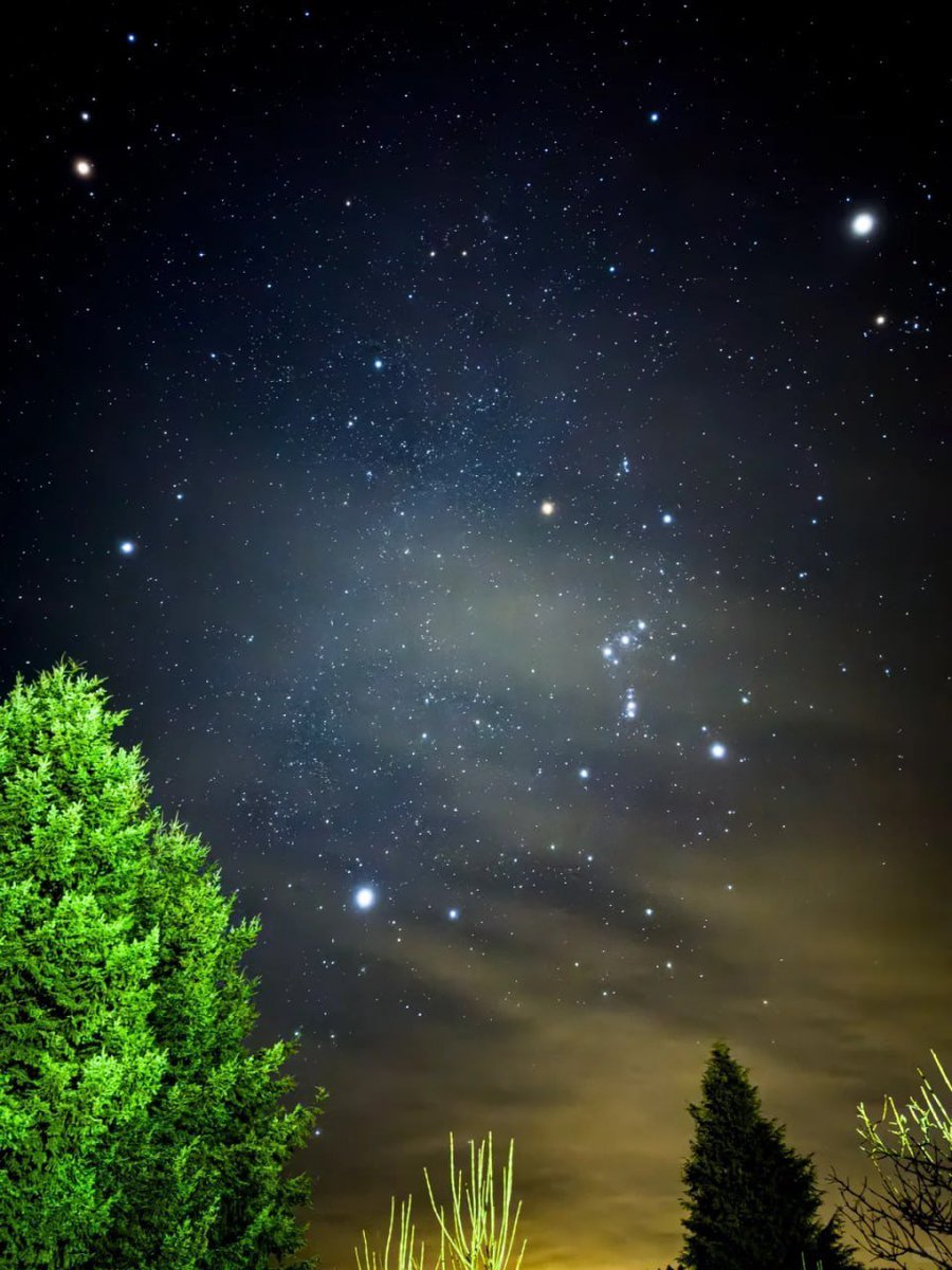 odhora7464's tweet photo. Pleiades glowing through the cedar haze. February skies doing their quiet magic. 😍 https://t.co/Q7AuuNYxlY