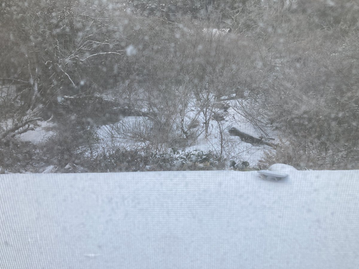 朝起きたら雪景色に逆戻りの六甲山