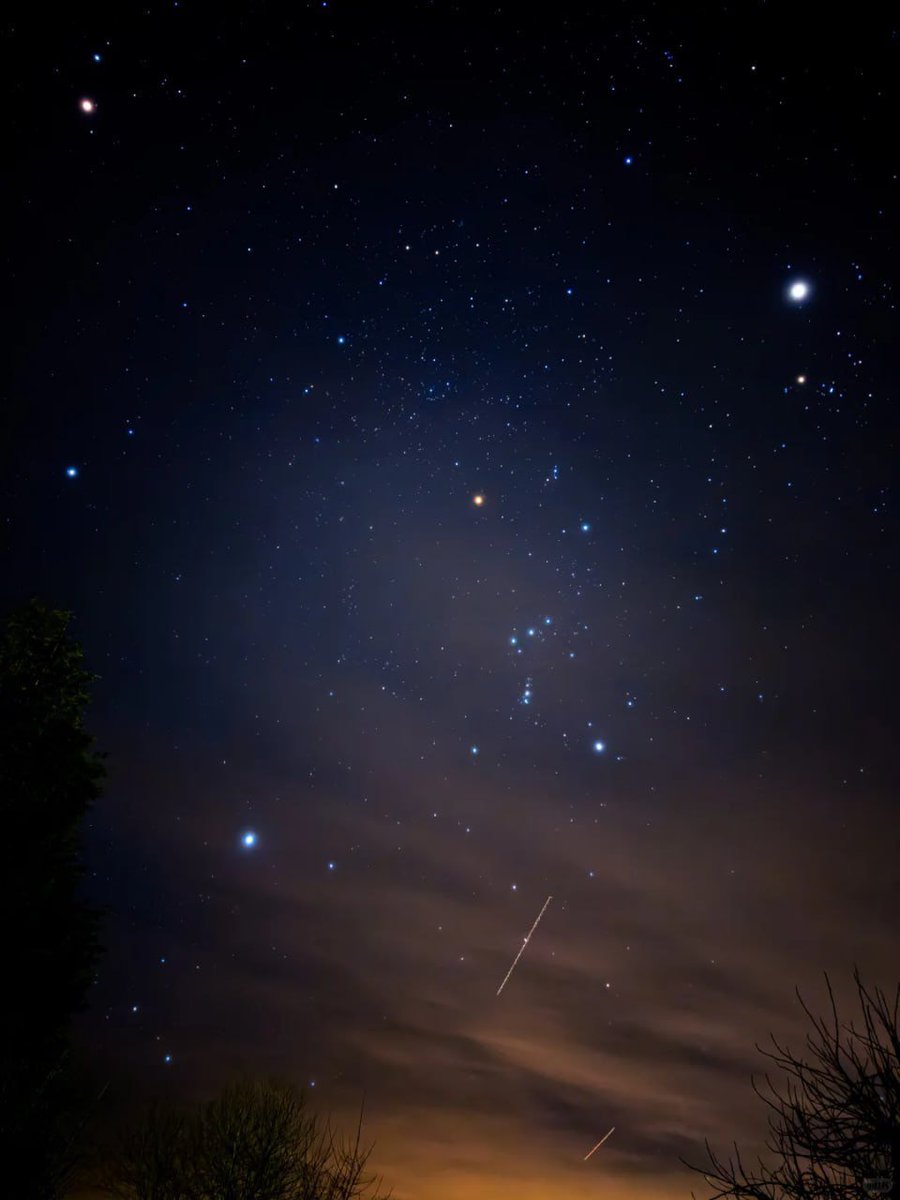 odhora7464's tweet photo. Pleiades glowing through the cedar haze. February skies doing their quiet magic. 😍 https://t.co/Q7AuuNYxlY