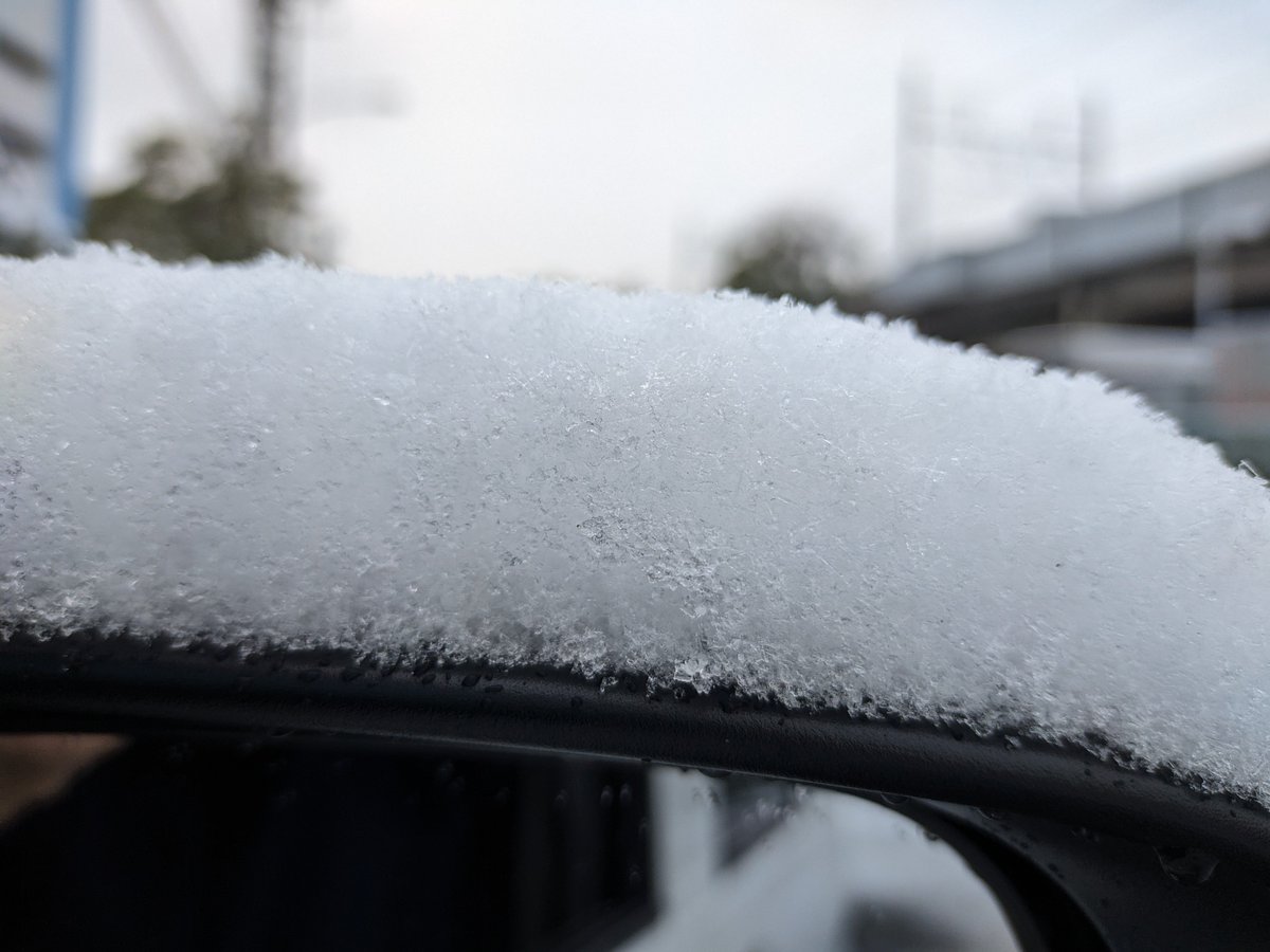 とーきょ🗼 ⛄