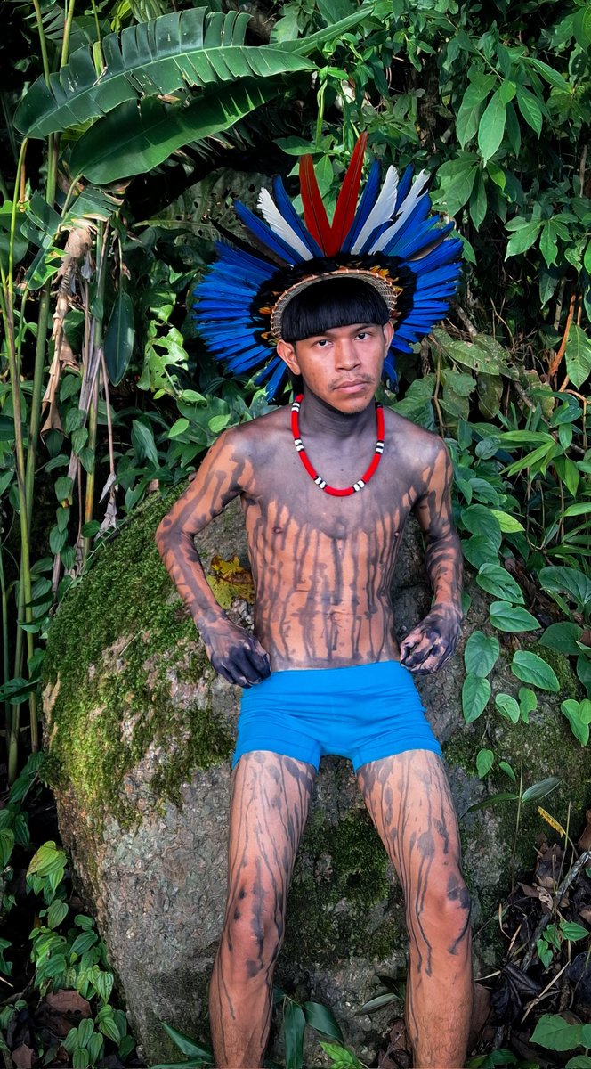 Oy paor iter tweet media