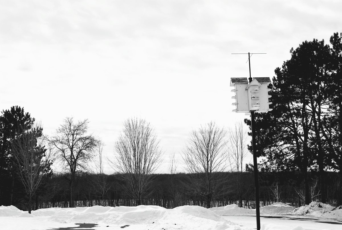 DH_Photos_'s tweet photo. Enjoying a beautiful day and walking around with my Nikon D200 https://t.co/vT6TxeD1Zp