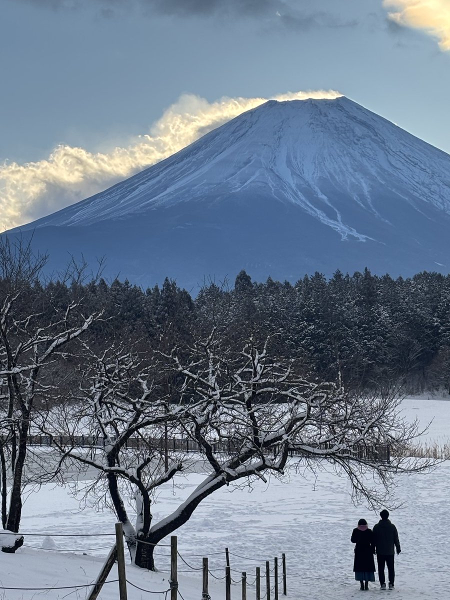 2/8(日) ☀️
おはようございます！
一夜明けて、木々には綺麗な雪の花が咲いています。雪遊びには丁度良い積雪量ではないでしょうか。ご来場お待ちしております⛄️