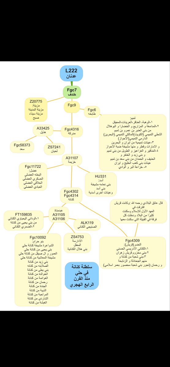 tahtam809's tweet photo. مرفق تحور عضل بارقام العينات وتحور بنو حرام من كنانه وتحور هذيل وتحور اسد وكلهم ابناء التحور المدركي fgc4316 ,, اما التحور الكريم 7944 فيستحيل وجود قريش تحته جينيا لان الجينات باختصار تكتلات وهيكله فمهما ادعينا صراحة بني سهم الا انهم لم يحققوا هيكله مع بقية قريش ولا مع كنانه ولا هذيل ولا عضل فلذلك بنو سهم على احتمالين لاثالث لهما ،،اما ان بنو سهم هؤلاء هم بني سهم جينيا وفي هذه الحالة فانهم ليسوا من قريش جينيا لان قريش جينيا يستحيل ان تكون خارج تحور كنانه fgc4302 او انهم من ثقيف او اي قبيلة اخرى  وسكنوا ديار بنو سهم ووهموا انهم منهم ،،انتهى