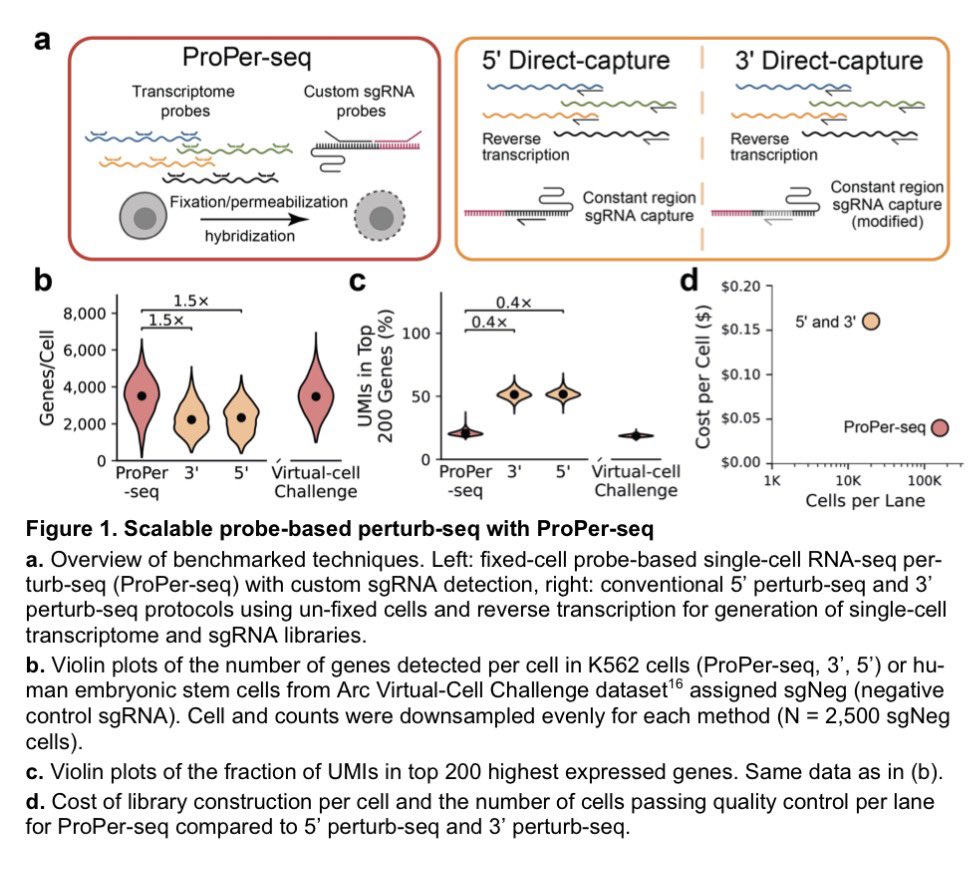 Vega Shah tweet media