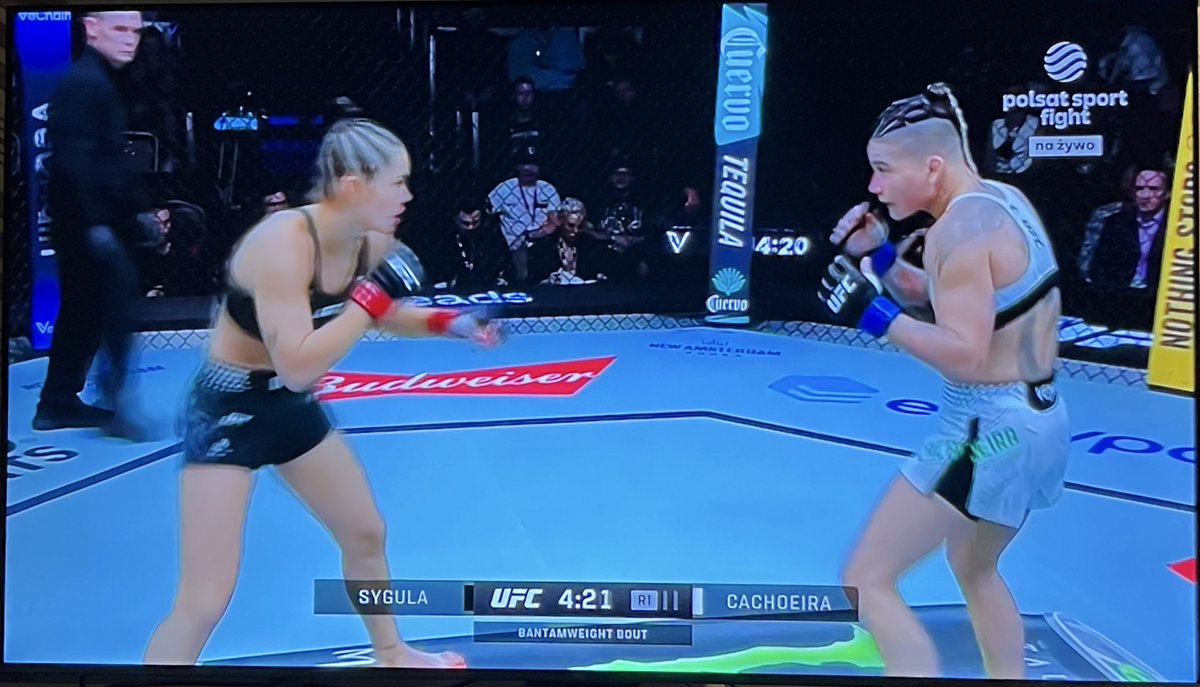 Lucky Punch tweet media