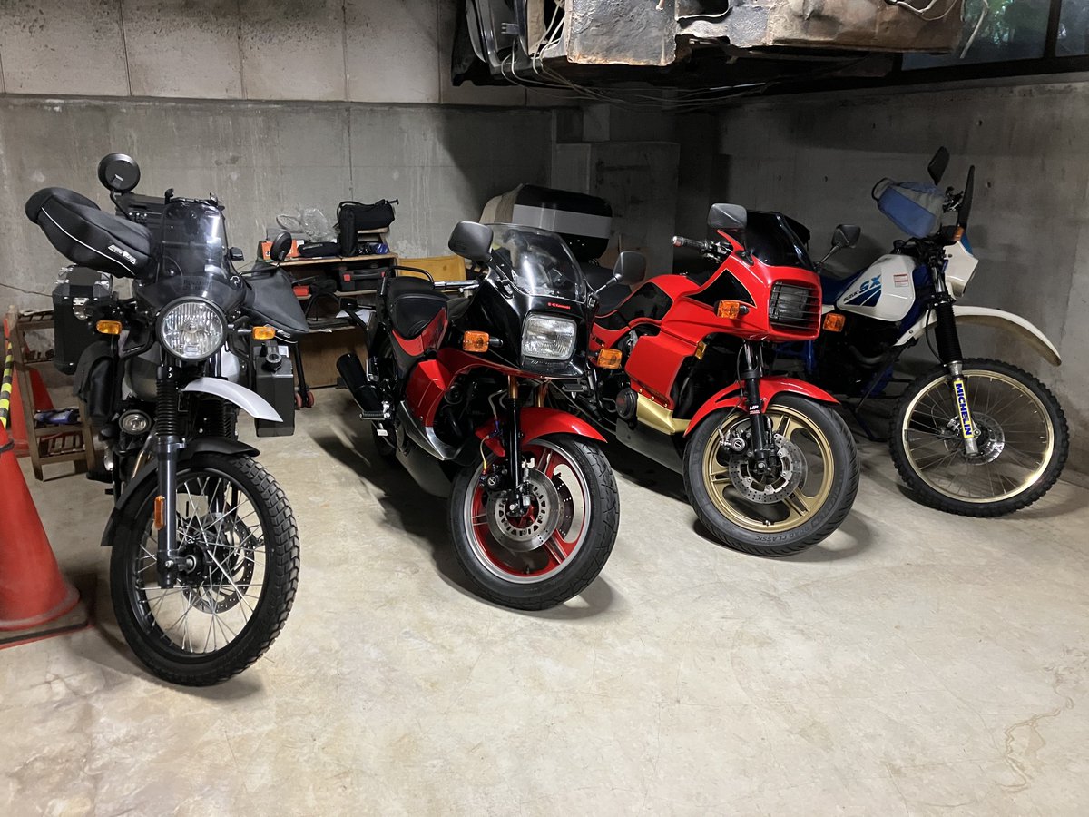 Stray dog (@fkQclQLFt0CiXGm) / Posts / X