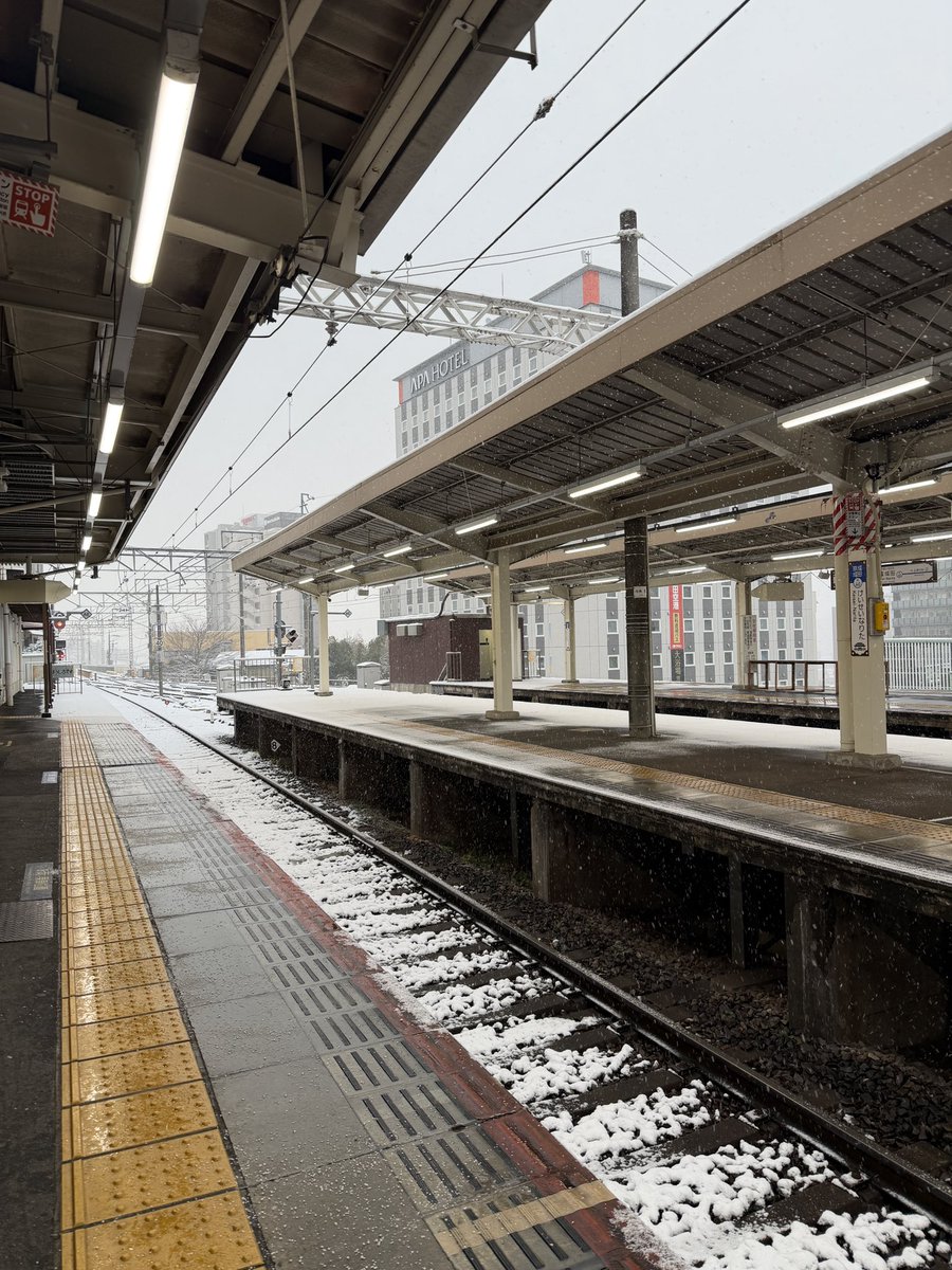 dtanshi's tweet photo. 大雪 https://t.co/SdtZIxd9ru