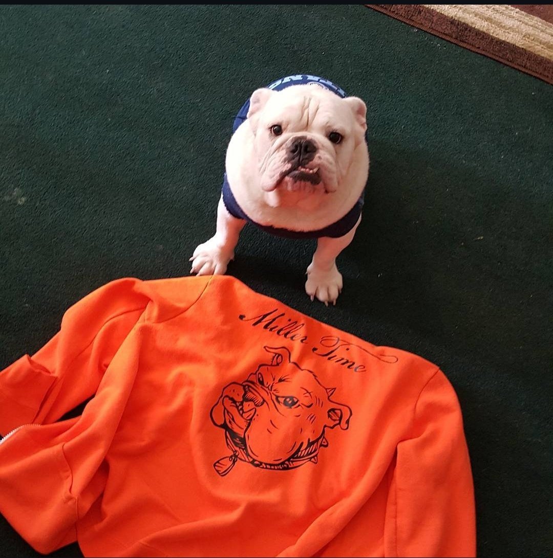 MILLERTIME tweet media