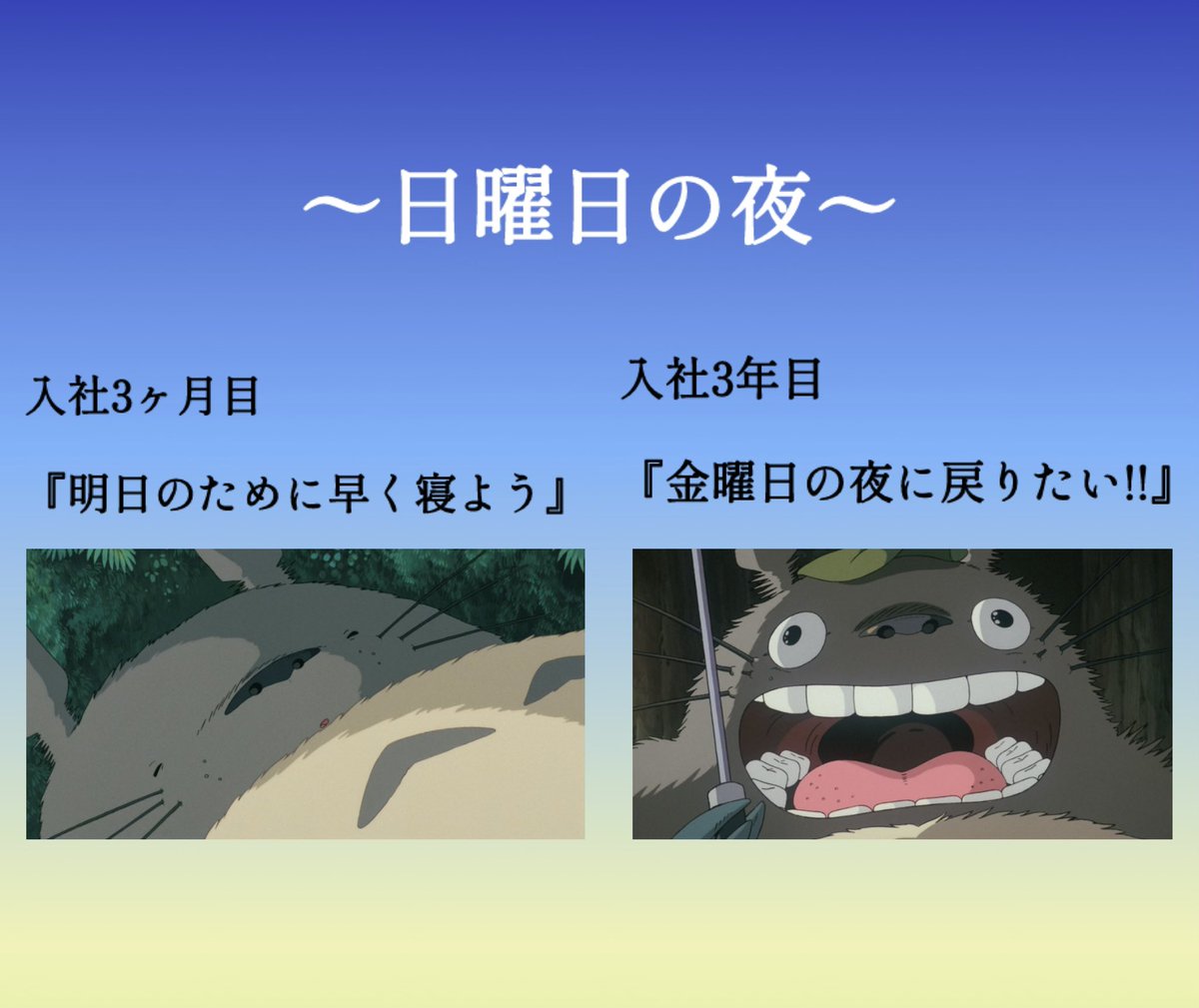 自分はこんなかんじw