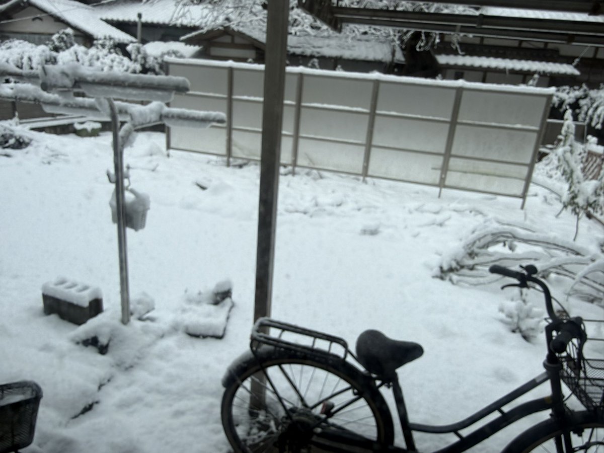 海涙-kairu- ときどき-海印堂- tweet media