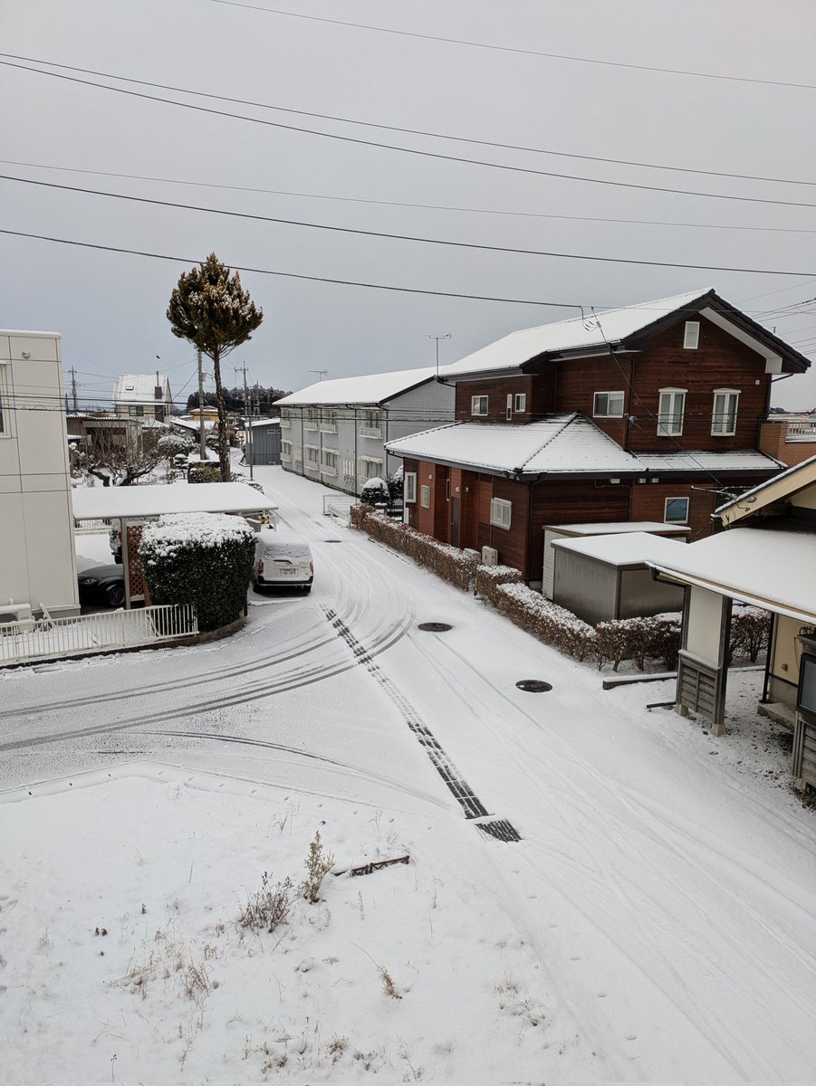 yo204861's tweet photo. ��々に雪？しかも選挙の日に吉と出るか凶と出るか?結果に期待！ https://t.co/0GsdWq9u9g