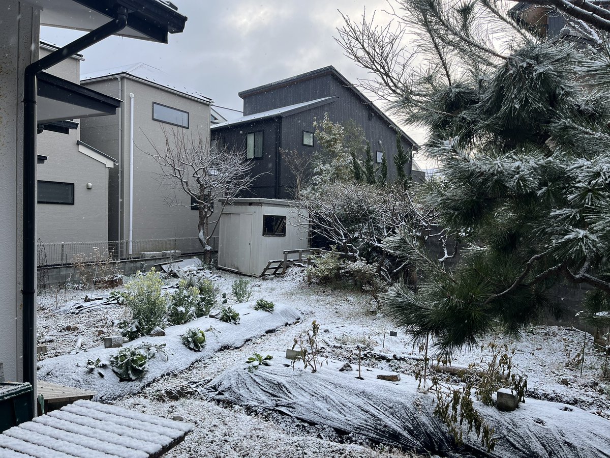 逗子は久しぶりの雪景色。
寒いけど、いつもと違う様子なのは嬉しいですね☃️