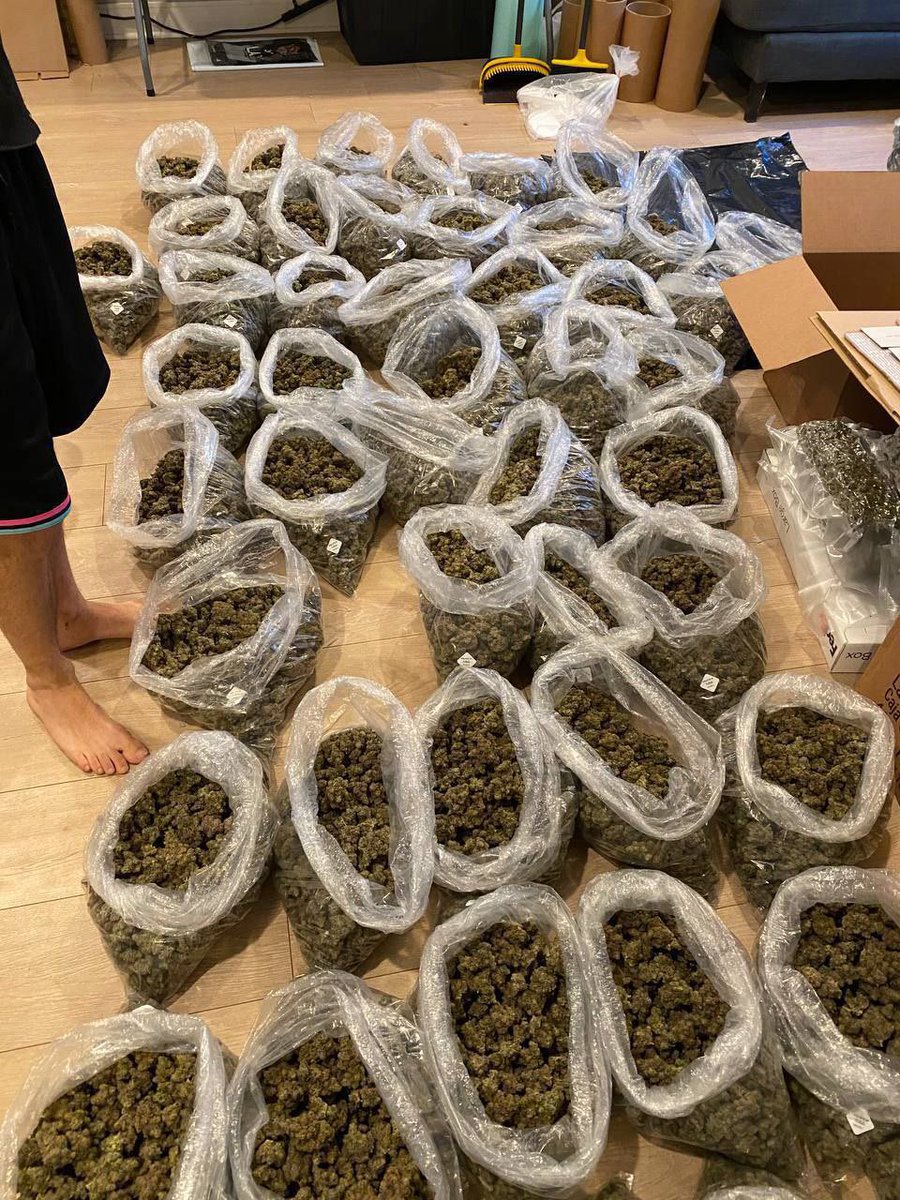 elmer_budd420's tweet image. Who need a free bag??? 

Repost 
Comment if you need a free bag