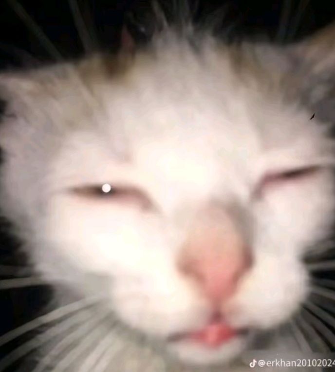 con mí novia dijimos de ir a tomar mates hoy a la plaza pero terminamos durmiendo 3 horas de siesta y nos despertamos hace un rato