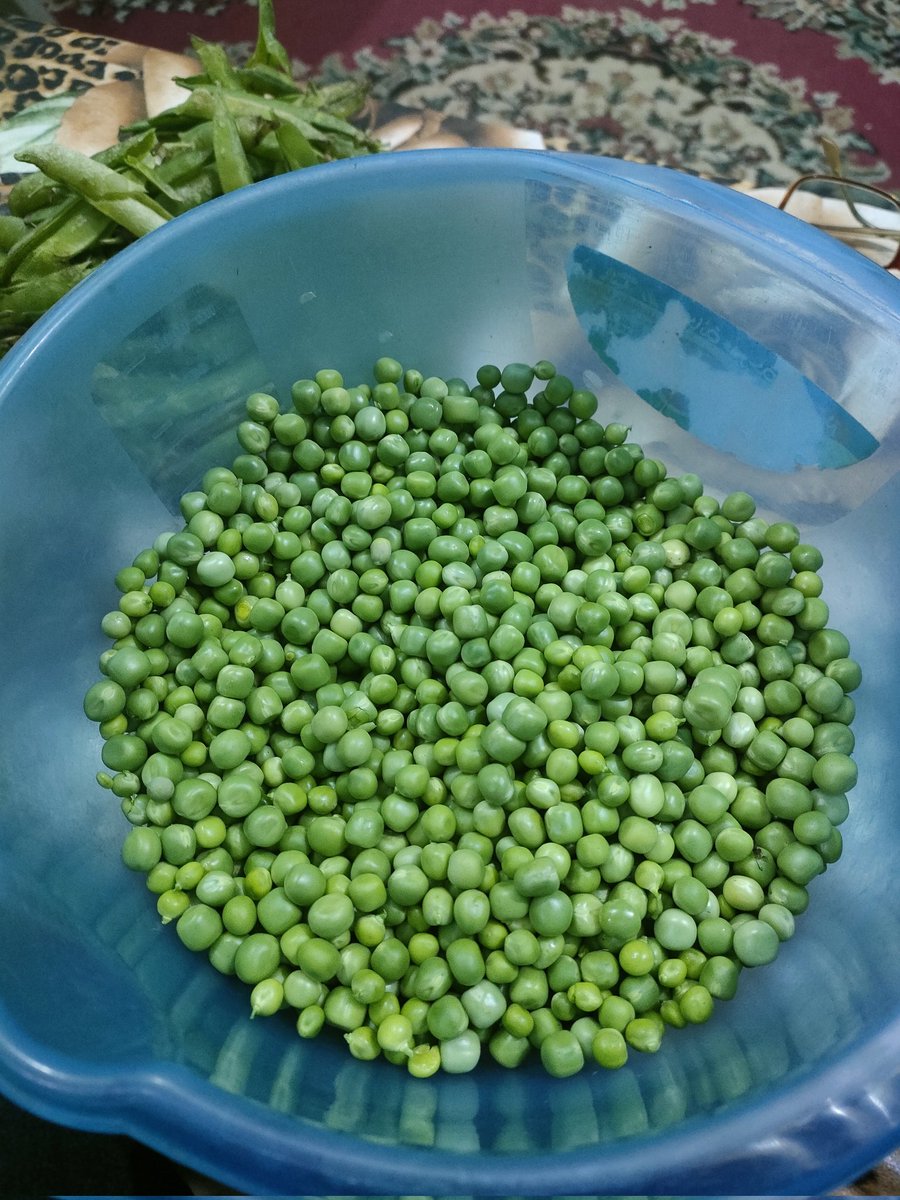 ناس بتسهر على مسلسلات، أنا وستي بنفصص بسلة بعد نص الليل 🫛😂