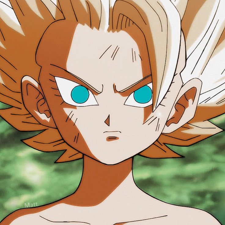 VoiddishOmega's tweet photo. I know a lot of people are hyped for the Dragon Ball Super Remake but more worried at what they will ruin then anything.

Mainly tournament of power than anything. Cause that was too peak 
#DragonBall #DragonBallSuper https://t.co/9hrA9xBPCU