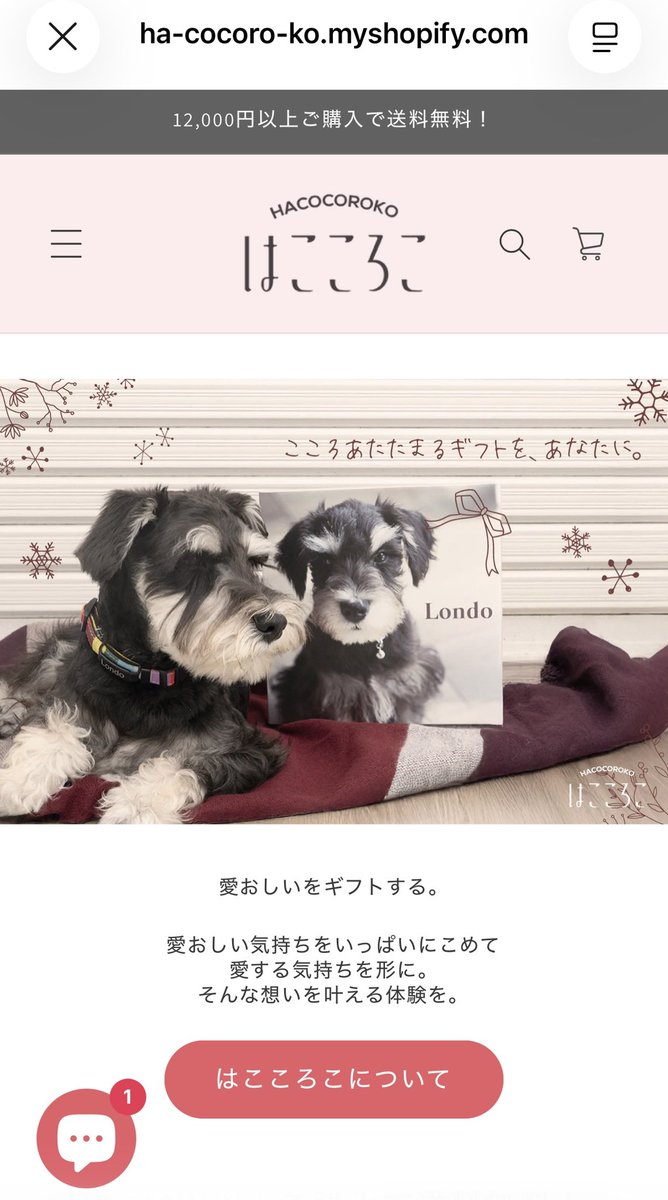 ena2727's tweet photo. ウチの子の可愛い犬グッズが作れる、はこころこ　という商品のモデルもさせてもらっている🤣🤣🤣
いわゆる、プードルとかポメとかみたいな可愛いといわれる犬種ではないが、うちの子を使っていただけるのは、嬉しい🤣🤣🤣

超絶可愛いグッズたくさんあるからみてほしい！
https://t.co/YRGzaX2ODN https://t.co/gCsNzFyRdP