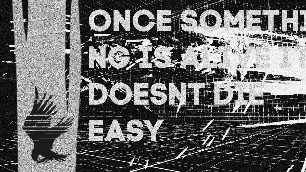 Nash 🏳️‍⚧️ tweet media