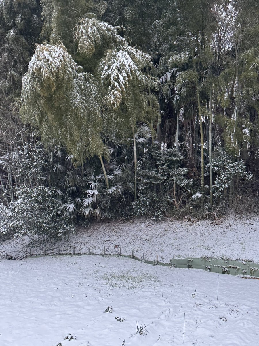 寒いですね
横浜との都県境に近い町田では　雪が風に吹かれて降り続いています