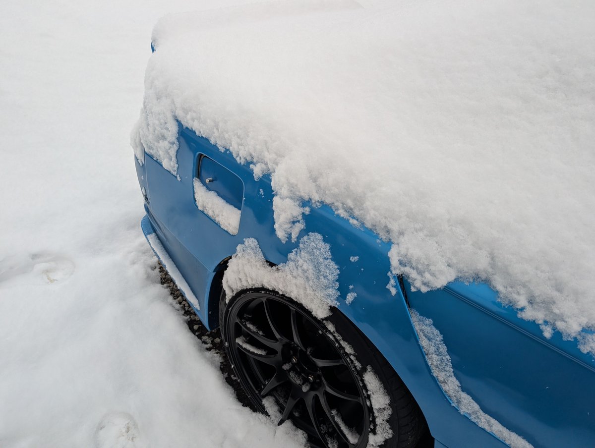 さいとー tweet media