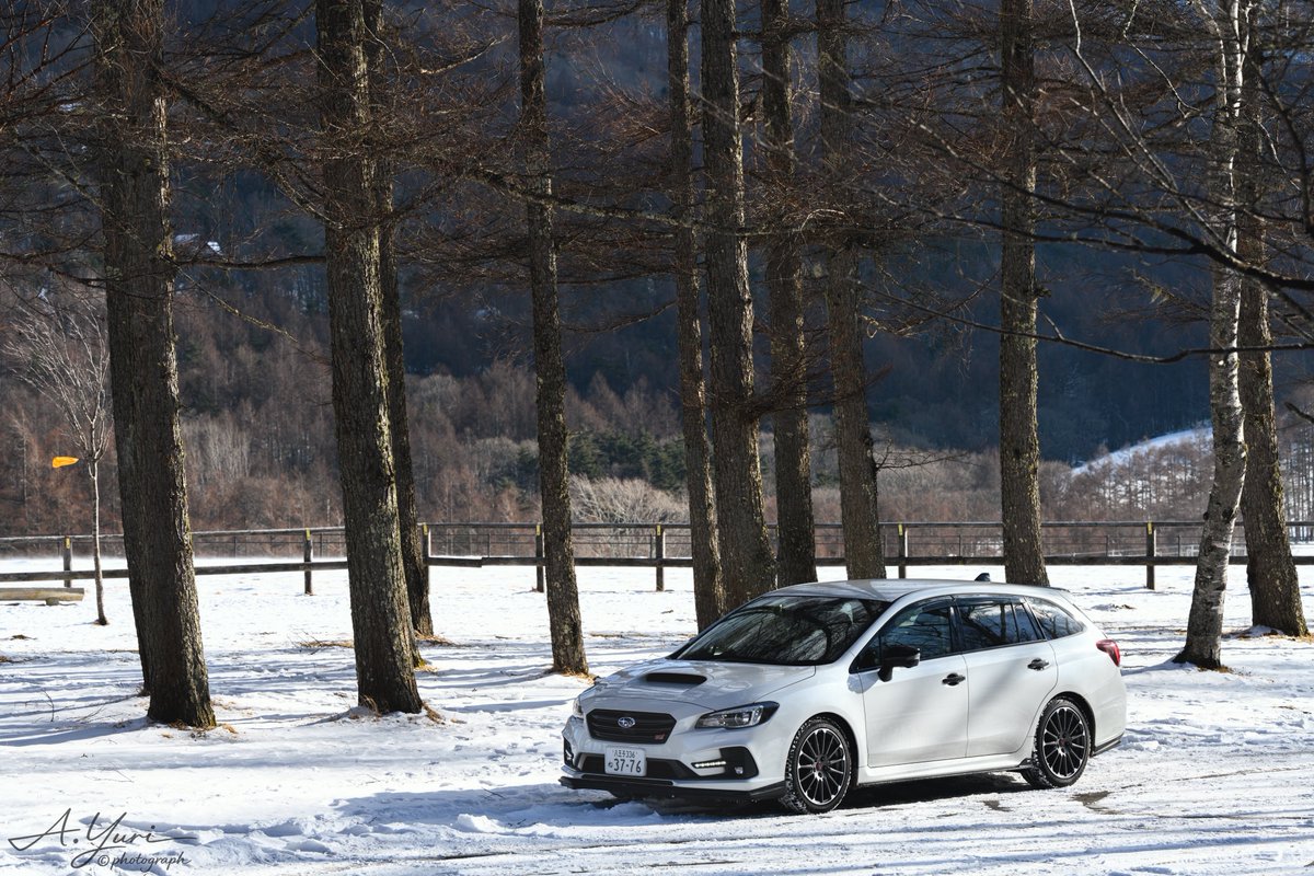 yurilevo_VM4F's tweet photo. #雪と愛車

今シーズンは雪道ほぼ走らずに終わりそう
年明け行った冬ビは雪というより氷だったし https://t.co/qie9cTG2p3