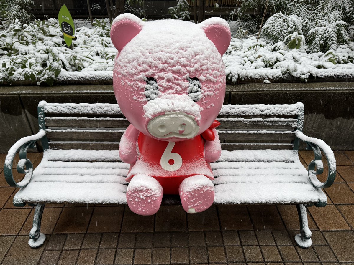 午前7時半過ぎの東京・赤坂には小雪が舞っている。　
午前5時現在の都心の積雪は3センチ。
Boonaも寒そう。

投票に行かれる方は、くれぐれも足元に気をつけて。