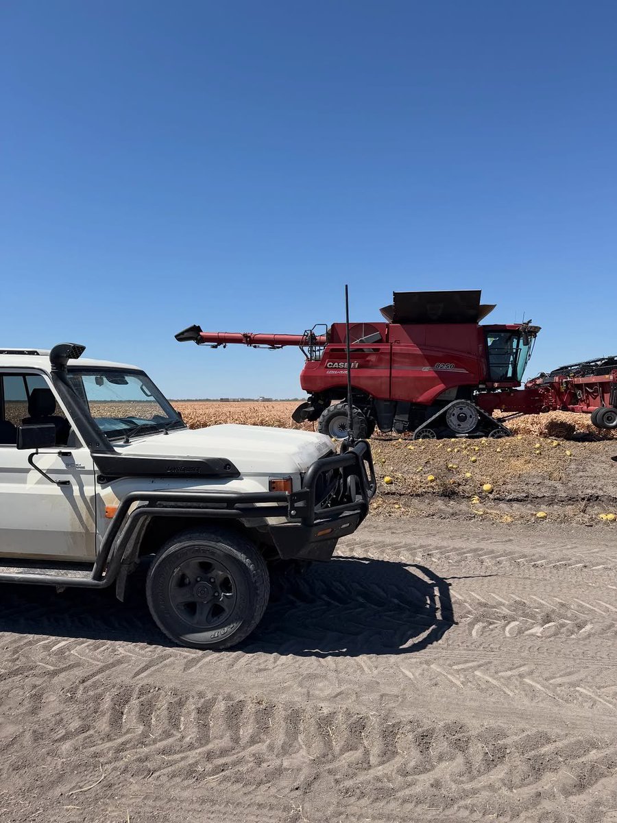Farm Girl That ❤️ Crypto tweet media