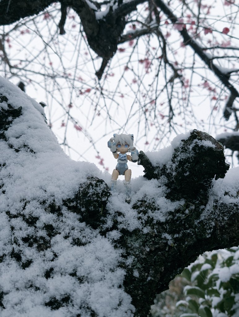 「おはようございます 九州も雪です」|フがeのイラスト