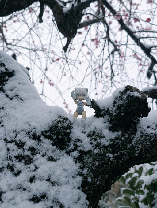 おはようございます 九州も雪です