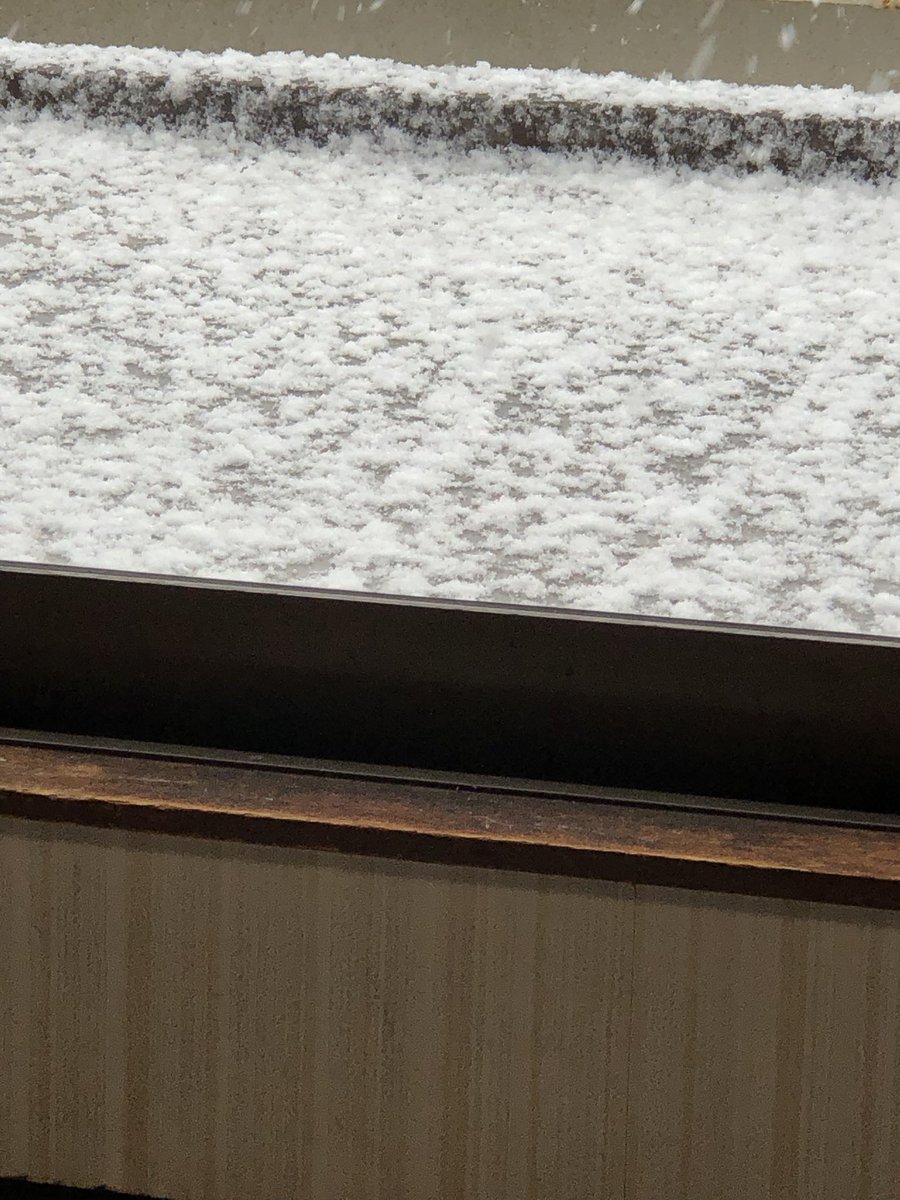 すごい雪降り始めた。