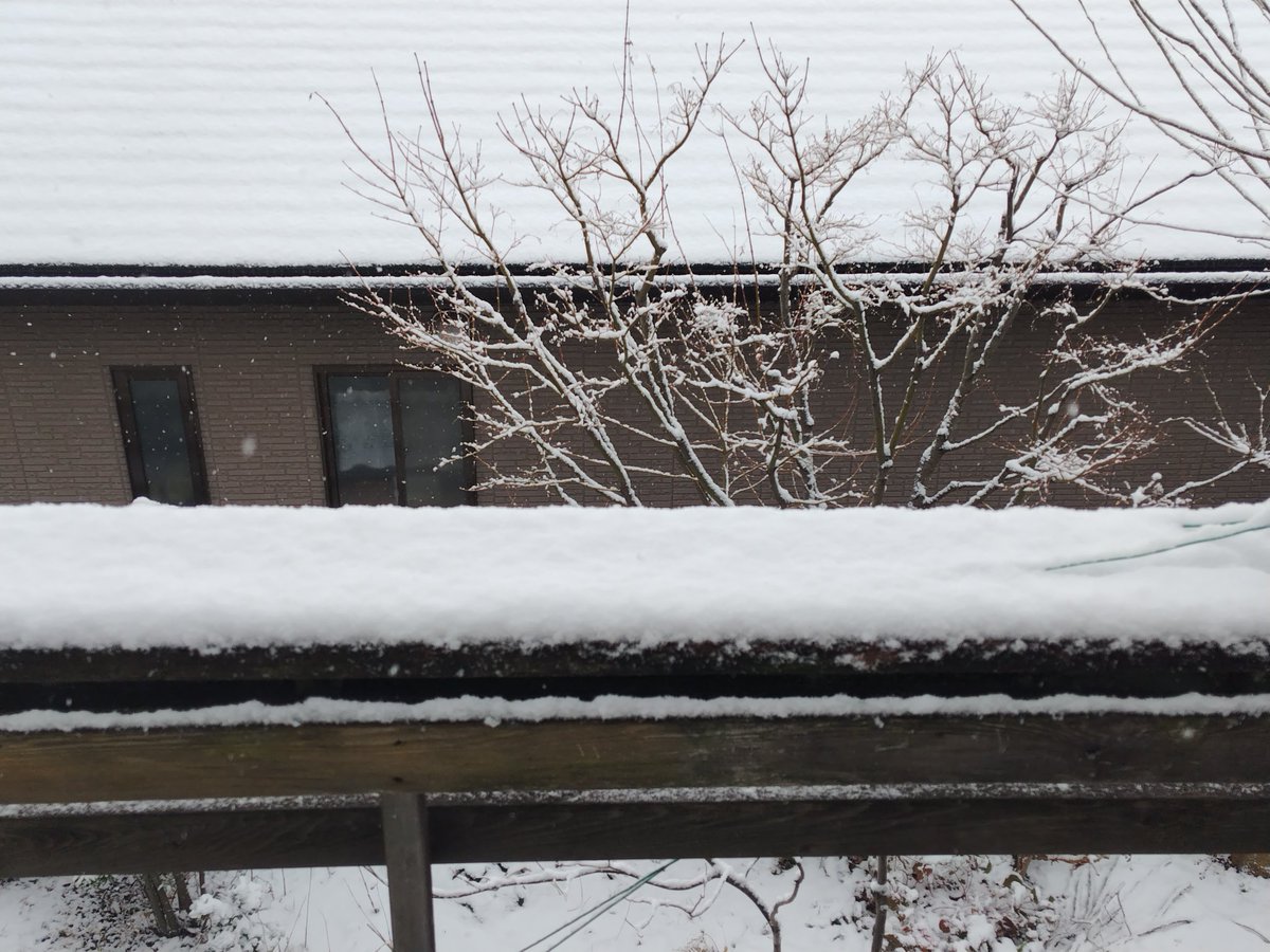 ありゃりゃ、まあこれくらいなら