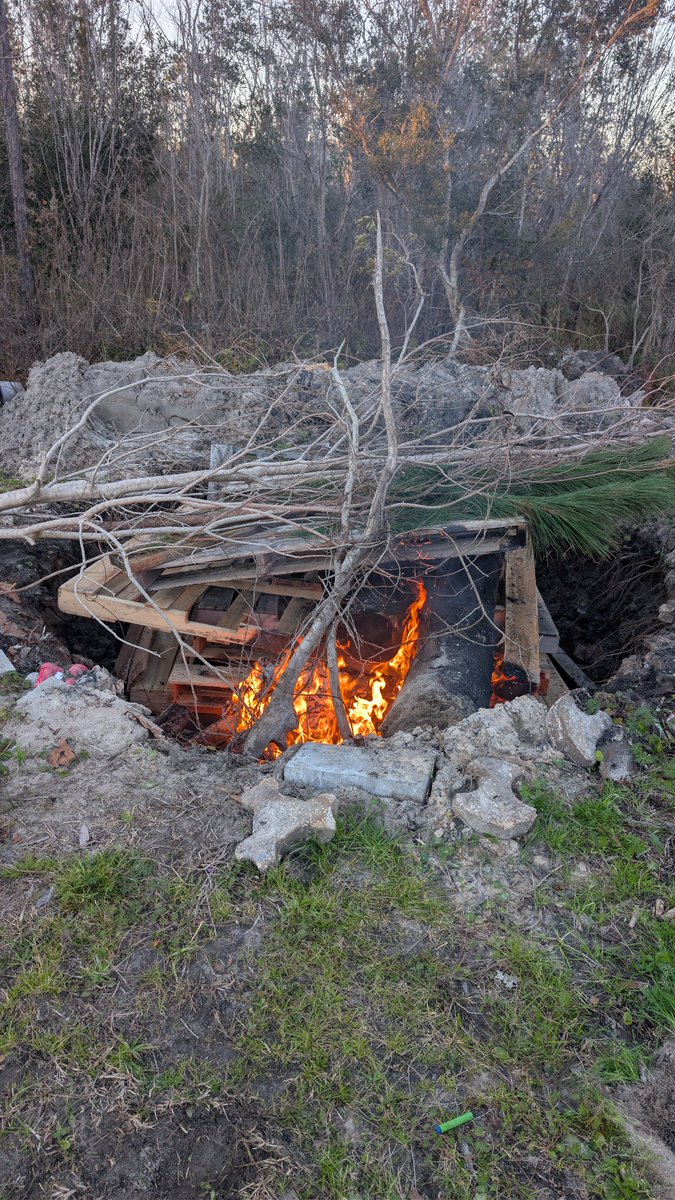 Lord Business 🤡👑KOS👑⛺🌵 tweet media