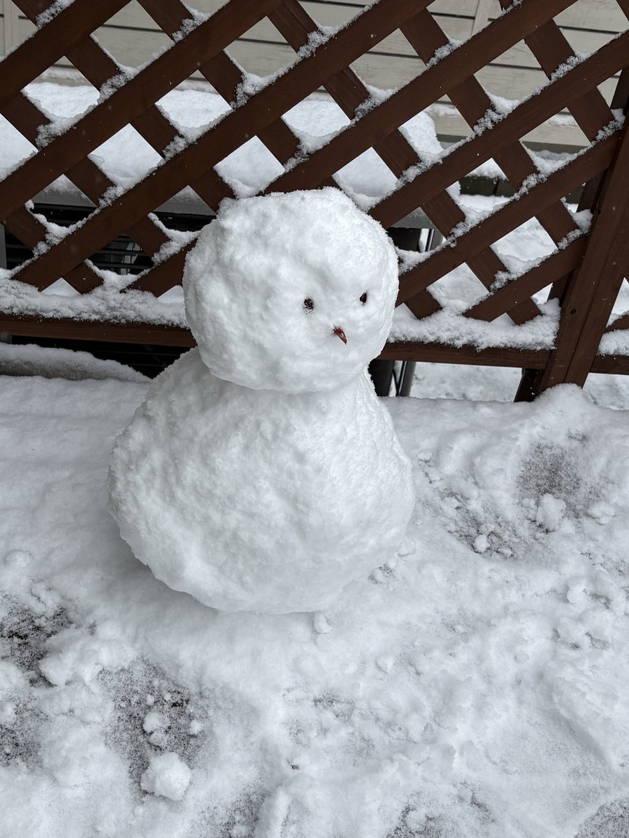Nonny516's tweet photo. 雪でやんす☃️ https://t.co/zMAFeAdiDI